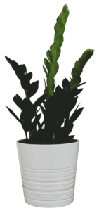 two men in suit sitting on sofa