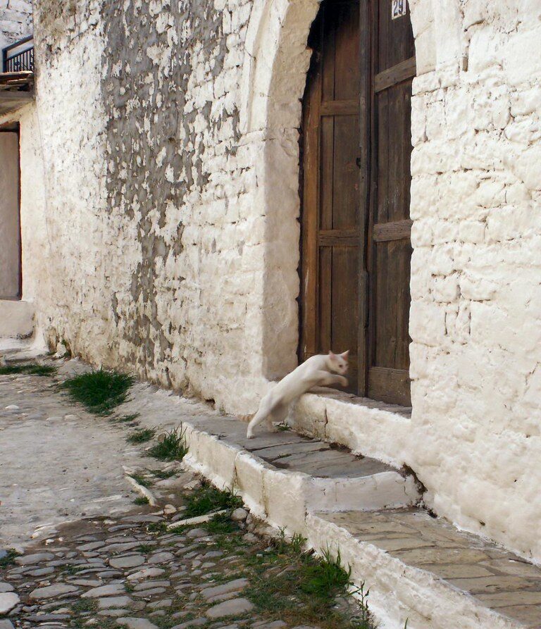 A businessman with glasses reviewing data on a tablet in an office setting.