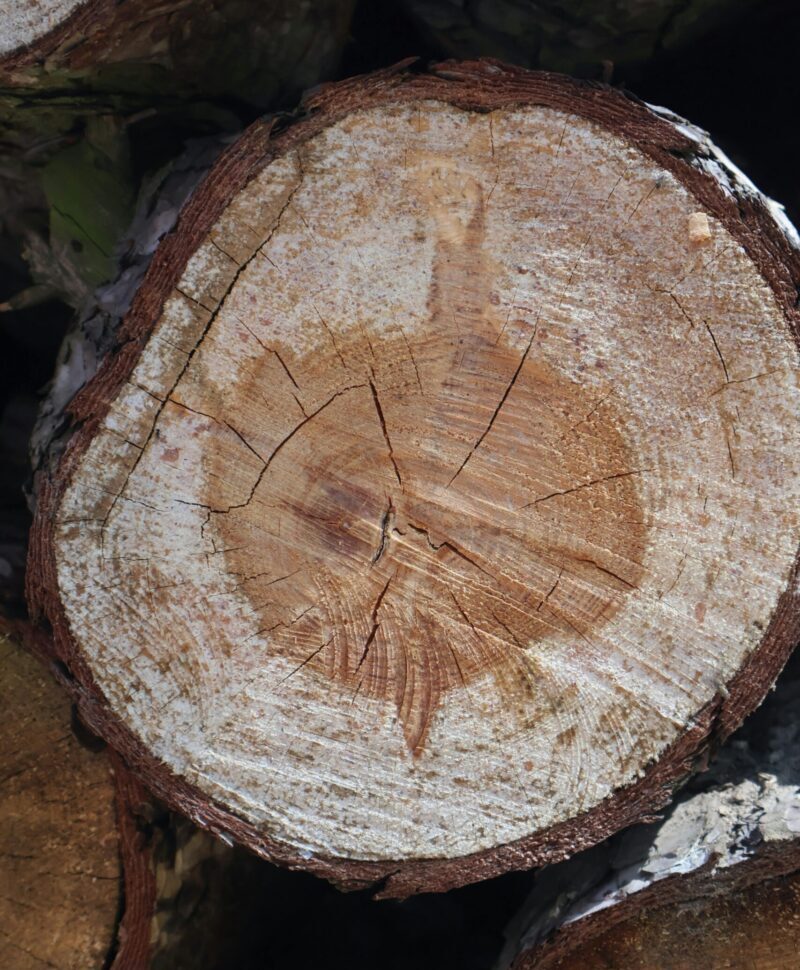 Two business professionals reviewing financial documents and graphs during a meeting.